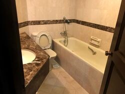 The Bencoolen (D7), Apartment #583372471